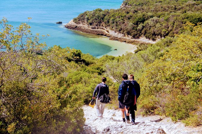 Arrábida Snorkeling Adventure With Transfer From Lisbon Overview Of The Adventure