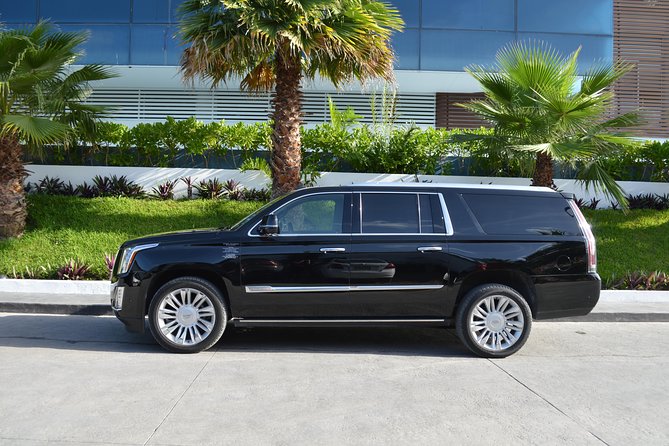 Arrival Luxury Transportation: Punta Cana International Airport to Hotels (1-5) - Included in the Transfer