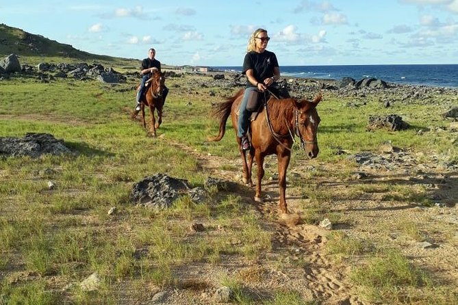 Aruba Horseback Riding Tour To Hidden Lagoon Tour Overview