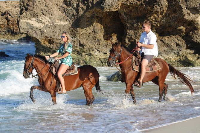 Arubas Northern Coast Horseback Adventure Exploring The Desert Landscape