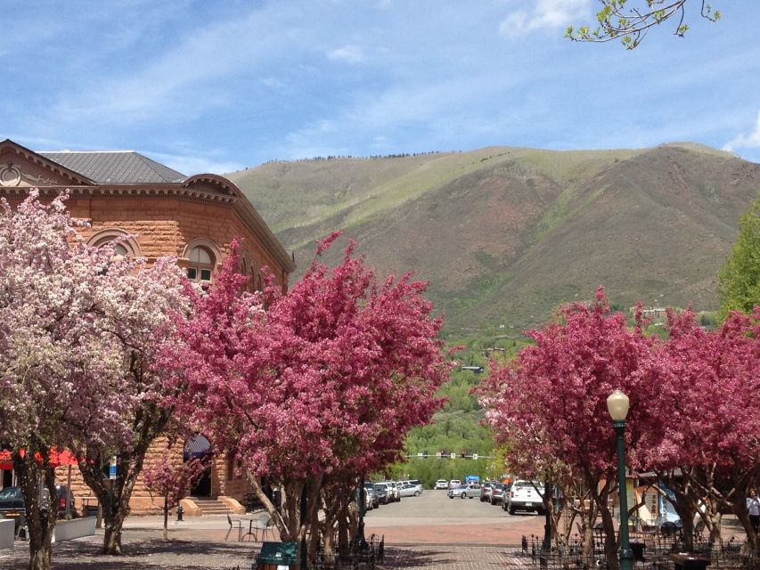 Aspen: From Past to Present History Walking Tour - Tour Overview