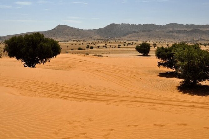 Atlantic Sahara And Ocean 4x4 Jeep Tour With Berber Lunch Tour Details