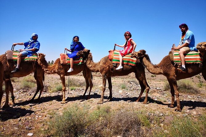 Atlas Mountains And Camel Ride Day Trip, From Marrakech Overview Of The Day Trip