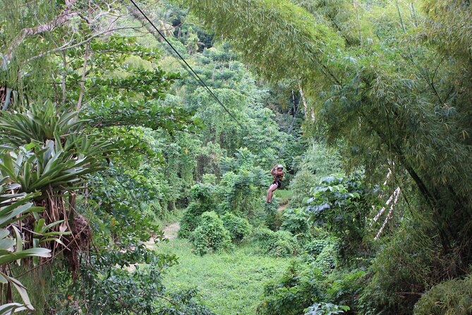 Atv, Zipline, River Tubing And Island Gully Falls Appleton Rum And Coffee Tastings