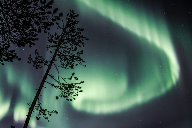 Aurora Hunting Photo Tour From Rovaniemi With Pickup Inclusions