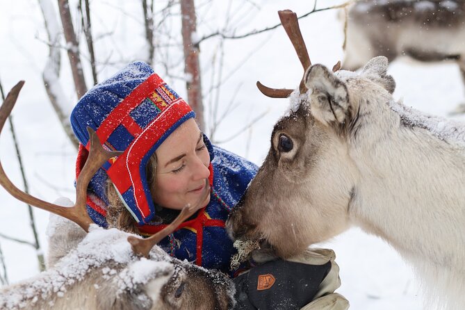 Aurora Hunting With Reindeer Caravan Tour Overview