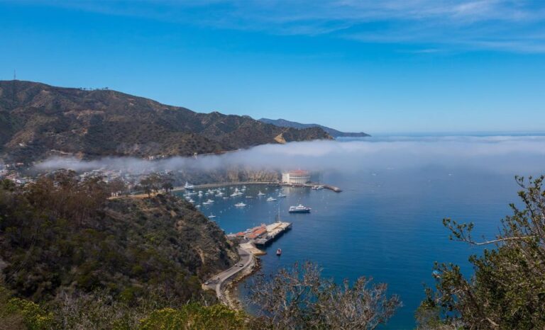 Avalon, Catalina Island: Inside Adventure Tour Tour Overview