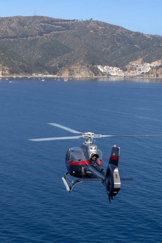 Avalon: Santa Catalina Island Aerial Helicopter Tour - Overview of the Helicopter Tour