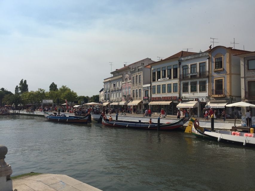 Aveiro and Coimbra Private Tour - Tour Overview