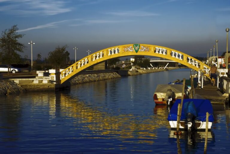 Aveiro: Half Day Tour With Boat Ride Tour Details