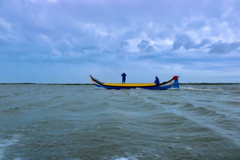 Aveiro: Typical Boat Tour With Tasting 90 Min Tour Overview