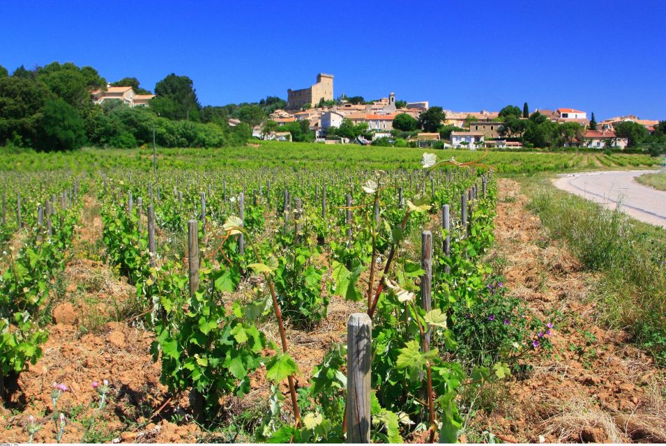 Avignon: Full-Day Wine Tour Around Châteauneuf-Du-Pape - Tour Overview