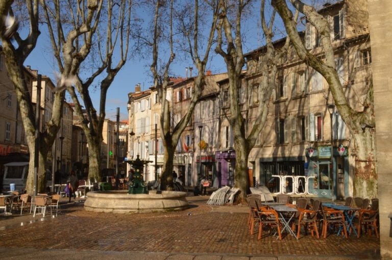 Avignon Private Guided Tour And Wine Tastings From Marseille Discover Avignon With A Local Guide