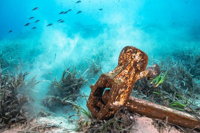 Bahamas On A Semi Submersive Glass Bottom Boat Overview Of The Experience