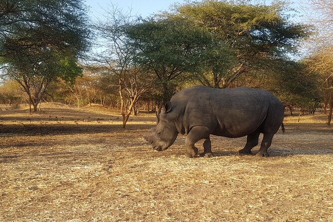 Bandia Park Safari (Minimum 2 Participants) - Tour Overview and Highlights