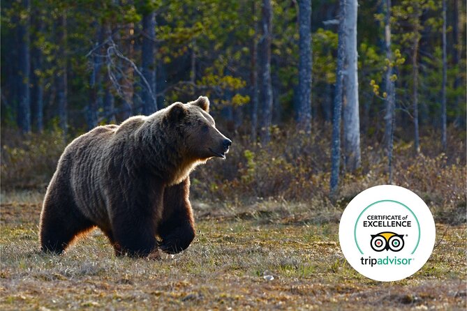 Banff Highlights & Wildlife | Award Winning Small Group Adventure Tour Overview