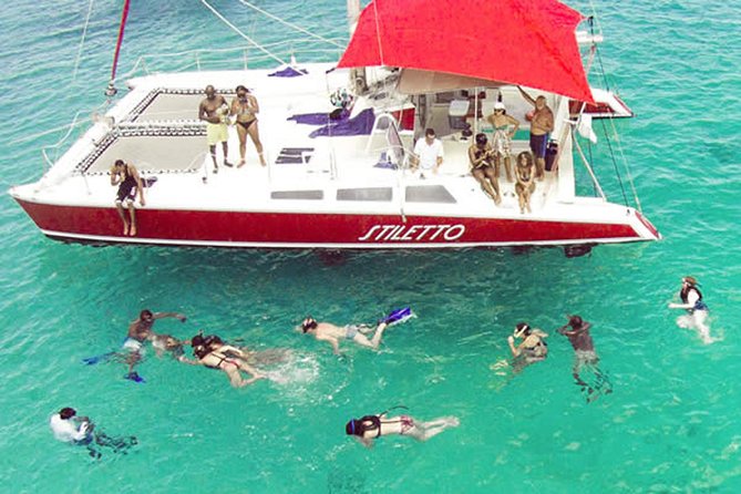 Barbados Catamaran Turtle Snorkel With Lunch And Open Bar Activities And Experiences