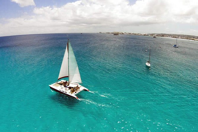 Barbados Catamaran Turtle Snorkel With Open Bar Sailing Along Barbados Coastline