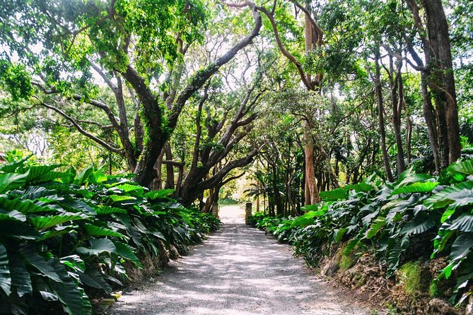 Barbados Harrisons Cave And St Nicolas Abbey Tour Overview Of The Tour