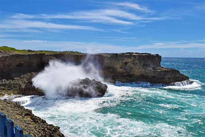 Barbados Small Group Or Private Coastal Sightseeing Tour Natural Diversity