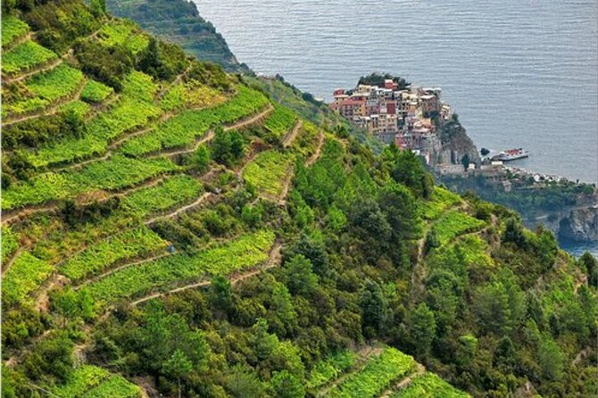 Barca Winery Cinqueterre Trekking & Wine Tasting & Pesto Class Overview And Experience