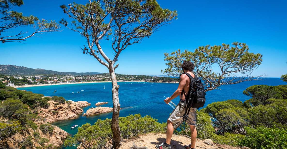 Barcelona: Costa Brava Hike, Snorkel & Cliff Jump With Lunch - Activity Overview