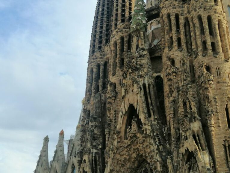 Barcelona: Sagrada Família Tour With Optional Tower Access Tour Overview