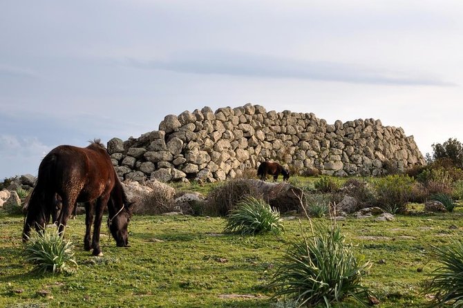 Barumini Unesco Site and Giara of Gesturi Tour From Cagliari - Tour Overview