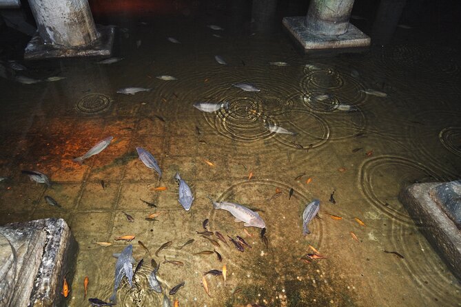 Basilica Cistern Skip-the-Line Guided Tour - Tour Overview