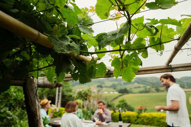 Basque Cheese And Txakoli Wine Private Gastronomic Adventure Tour Overview