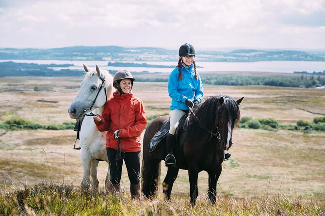 Beach & Countryside Horse Riding Outside Westport. Guided. 1 Hour Activity Overview