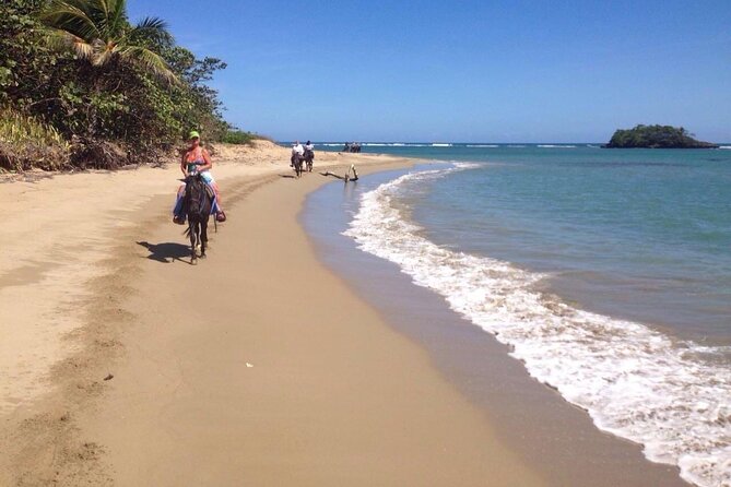 Beach Horse Ride And Countryside Amber Cove & Taino Bay Overview Of The Experience