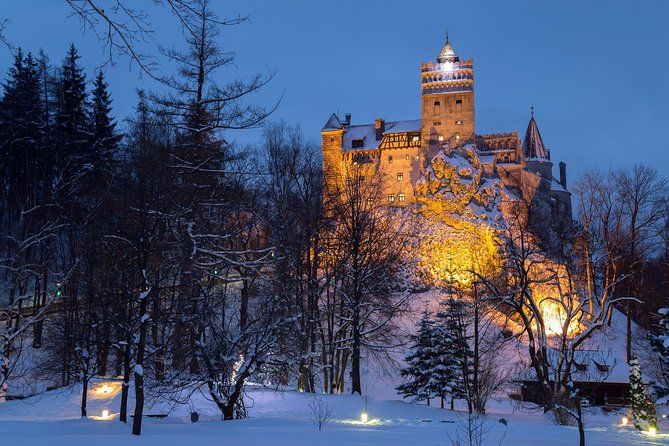 Bear Sanctuary And Bran Castle With A Professional Licensed Guide—day Trip Additional Information