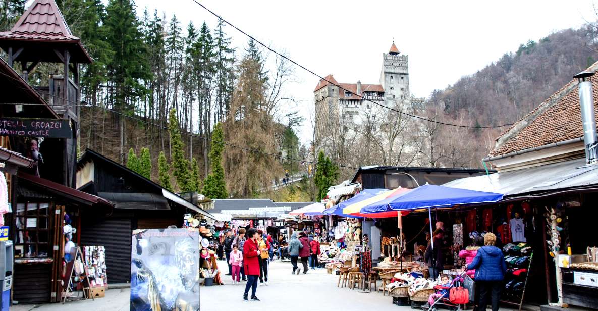 Bear Sanctuary & Bran Castle & Airport OTP From Brasov - Tour Overview