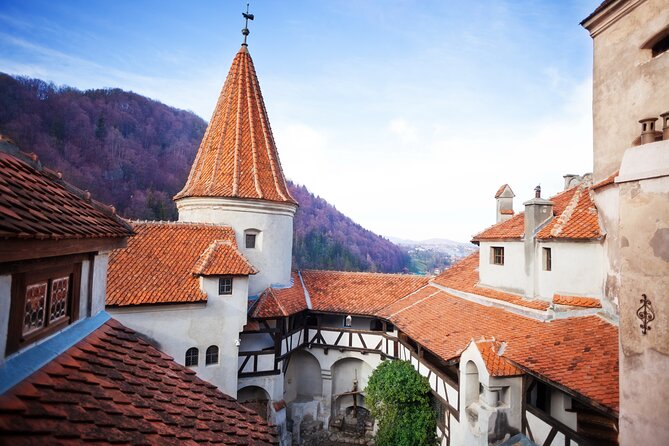 Bears Sanctuary, Dracula Castle And Poiana Brasov Private Day Tour From Brasov Itinerary Highlights