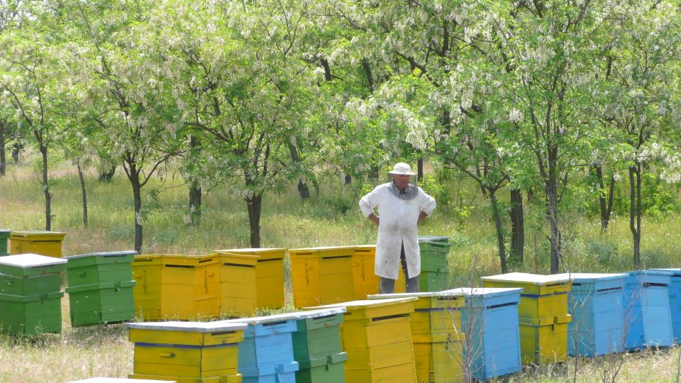 Bees in Romania - Private Beekeeping Lesson and Local Lunch - Activity Summary