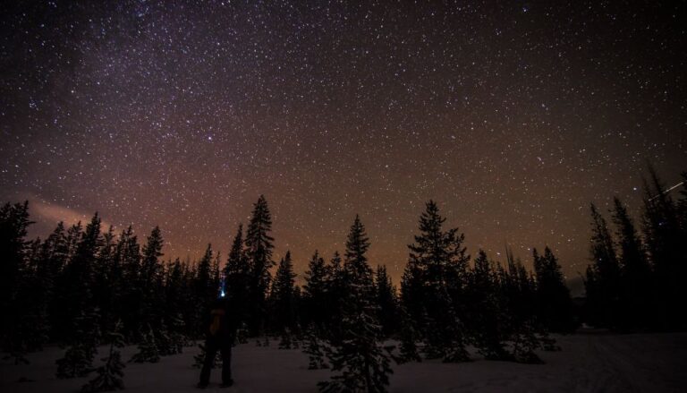 Bend: Guided Moonlit Snowshoe Tour Tour Overview