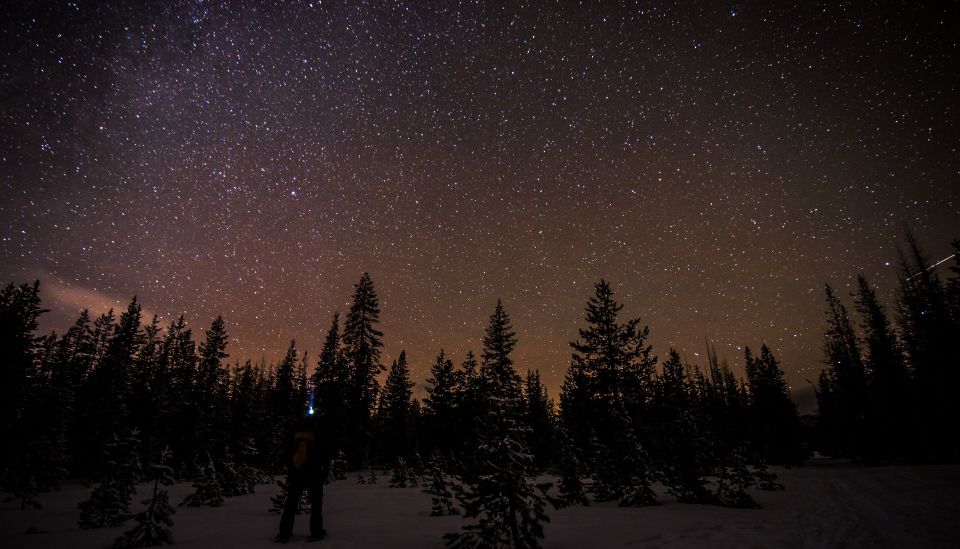 Bend: Guided Moonlit Snowshoe Tour - Tour Overview