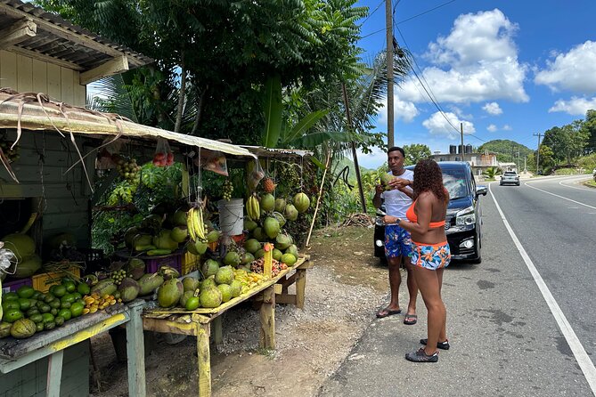 Benta River & Falls Private Tour From Montego Bay/negril Inclusions