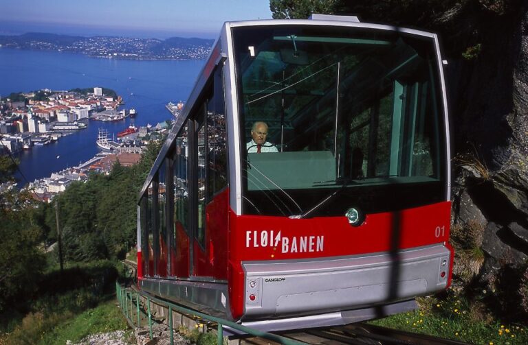 Bergen: City Sightseeing, Fjord Cruise & Mt Fløyen Funicular Tour Details