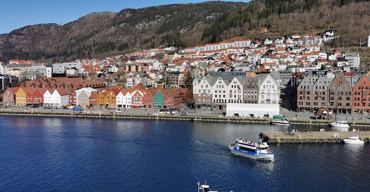 Bergen: Sightseeing Cruise of Bergens Historic Landmarks - Overview of the Sightseeing Cruise