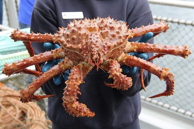 Bering Sea Crab Fishermans Tour From Ketchikan Overview Of The Tour