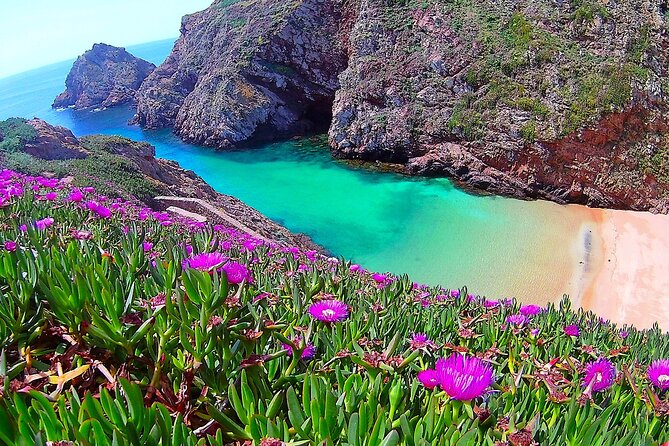 Berlengas Catamaran Tour Tour Overview