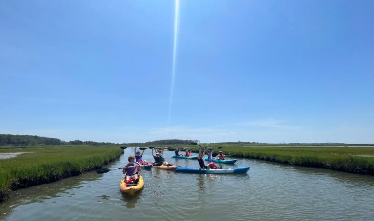 Berlin: Assateague Island Wildlife Discovery Kayak Tour Tour Overview And Pricing