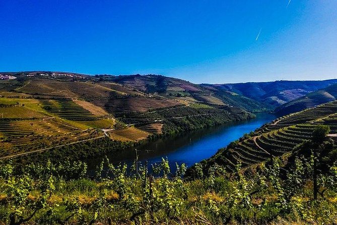 Best Of Douro Valley Wine Full Day Private Tour Activities Offered