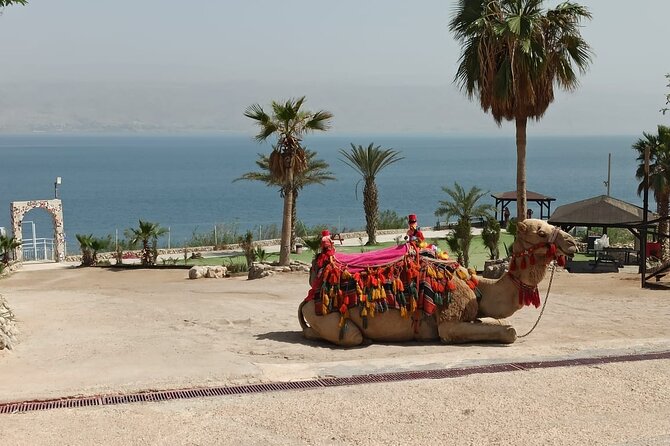 Bethlehem & The Dead Sea Full Day Tour From Jerusalem/tlv Tour Overview