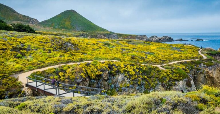 Big Sur & 17 Mile Self Guided Audio Driving Tour Tour Overview And Pricing