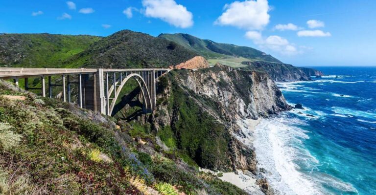 Big Sur: Sightseeing Tour With 4 To 5 Stops Tour Overview