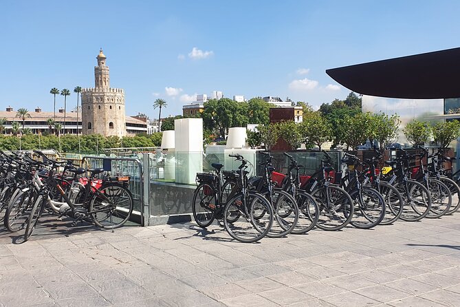 Bike Rental per Day in Seville - Rental Details