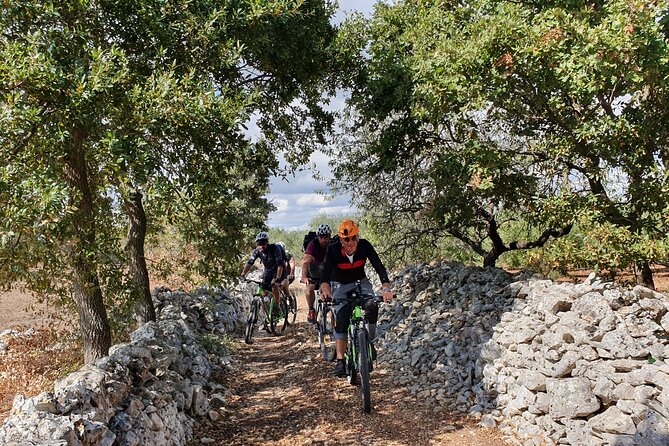 Bike Tour In The Alta Murgia National Park (pulo Of Altamura) Tour Overview